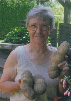 EM-Kartoffeln1